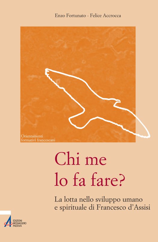 Chi me lo fa fare?