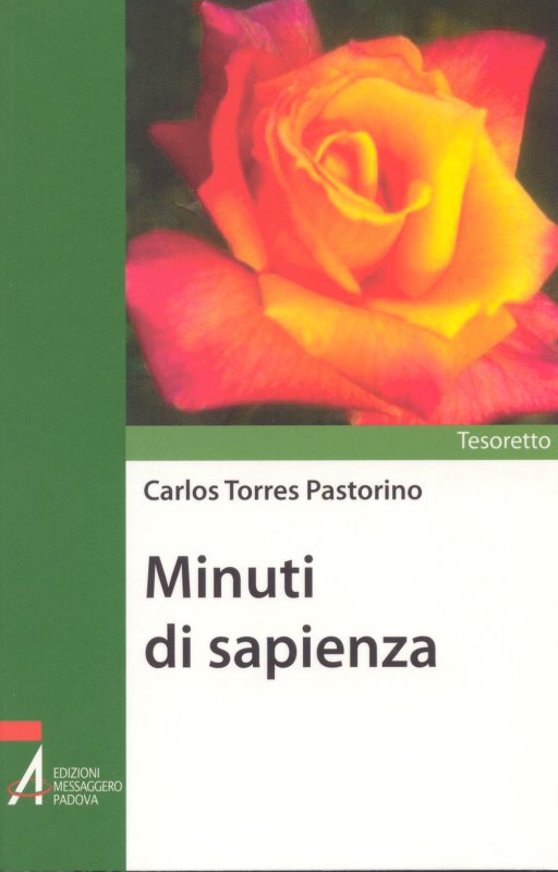 Minuti di sapienza