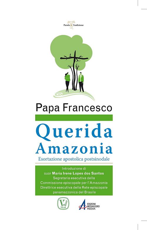 «Querida Amazonia»