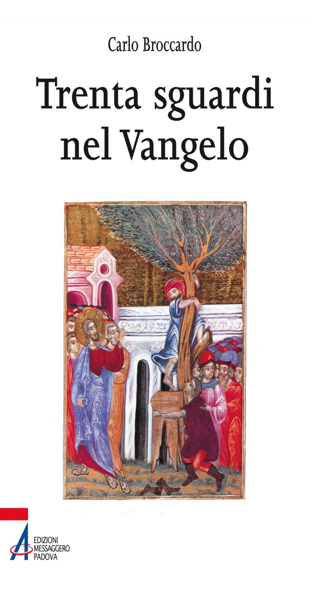 Trenta sguardi nel vangelo