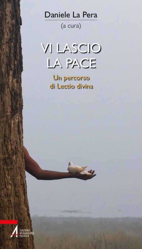 Vi lascio la pace
