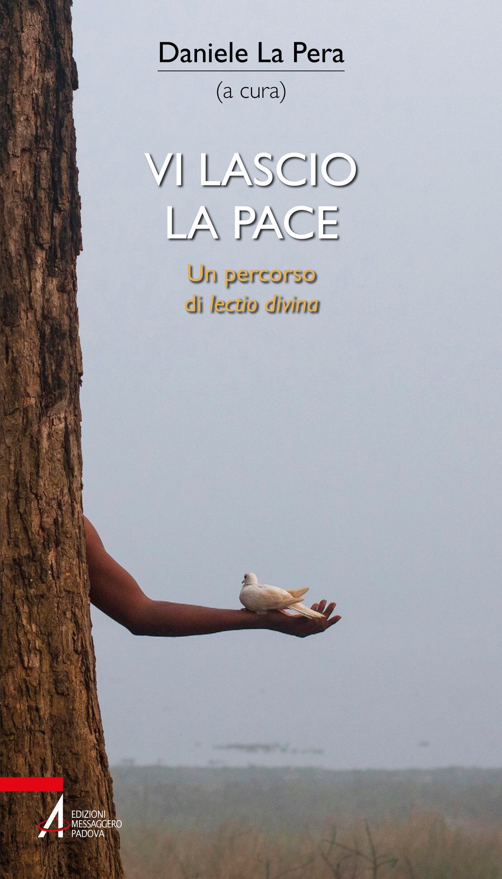Vi lascio la pace
