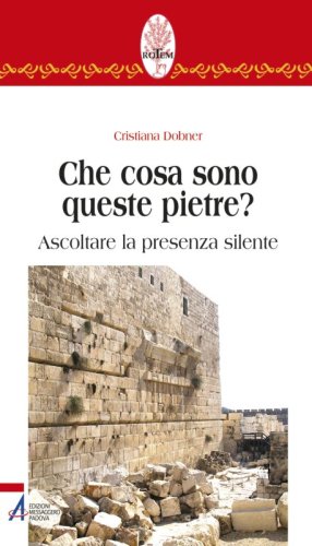 Che cosa sono queste pietre? - Ascoltare la presenza silente