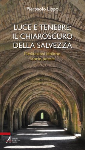 Luce e tenebre: il chiaroscuro della salvezza - Meditazioni bibliche, storie, poesie